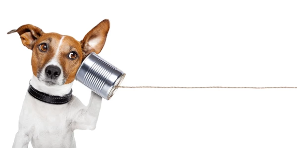 Use On-hold Messaging to Build Your Brand